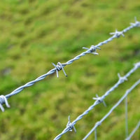 Bobina Filo Spinato Zincato 100 Metri Matassa Rotolo Metallico per Fai da Te