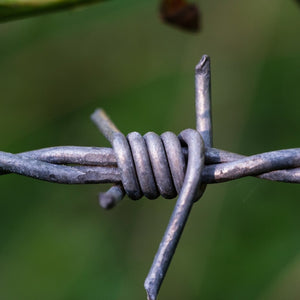 Bobina Filo Spinato Zincato 100 Metri Matassa Rotolo Metallico per Fai da Te