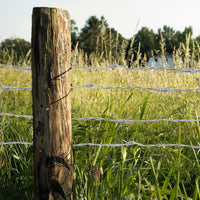 Bobina Filo Spinato Zincato 100 Metri Matassa Rotolo Metallico per Fai da Te