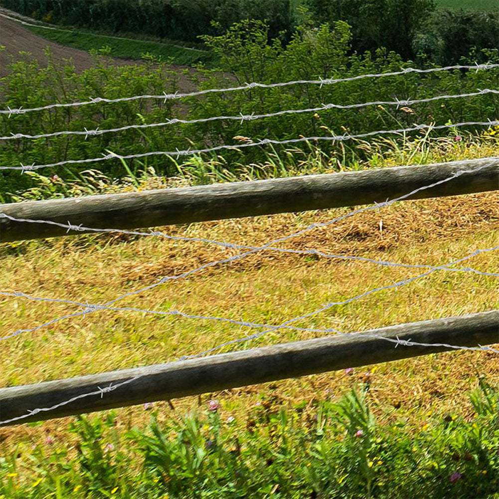 Bobina Filo Spinato Zincato 100 Metri Matassa Rotolo Metallico per Fai da Te