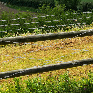 Bobina Filo Spinato Zincato 100 Metri Matassa Rotolo Metallico per Fai da Te