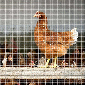 Recinzione Rete Metallica Elettrosaldata H 0.5 x 10MT Maglia 63x63mm Antiruggine