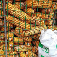 Recinzione Rete Metallica Elettrosaldata H 1,25 x 25MT Maglia 50x75mm Antiruggine