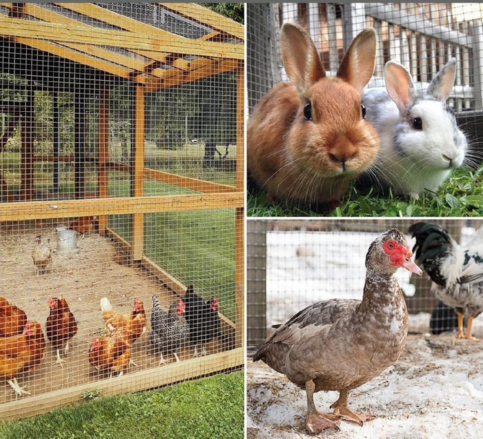 Recinzione Rete Metallica Elettrosaldata H 0.5 x 10MT Maglia 63x63mm Antiruggine