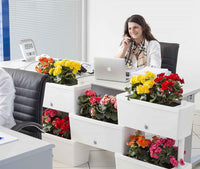 FIORIERA BRIK KIT 5 VASI IRRIGAZIONE VASI COMUNICANTI 59X23X27 (X5PZ) COLORE PANNA