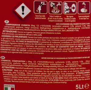 MAURY'S PROFESSIONAL 5LT DETERGENTE PAVIMENTI ASCIUTTO RAPIDO