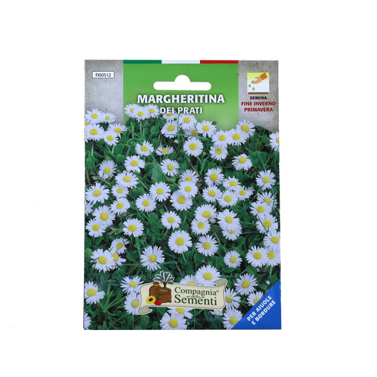 BUSTA SEMENTI FIORI MARGHERITINA DEI PRATI