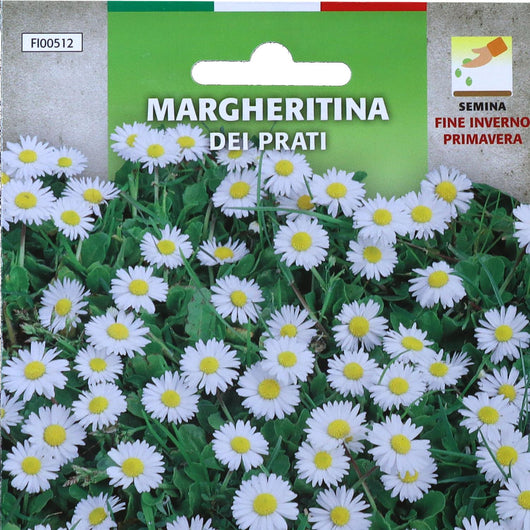 BUSTA SEMENTI FIORI MARGHERITINA DEI PRATI