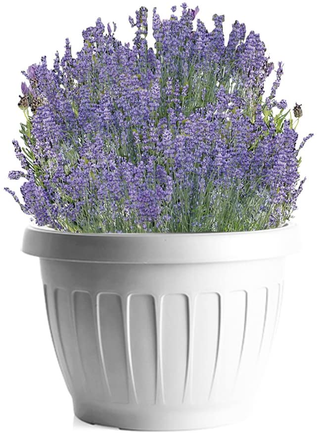 BAMA VASO DA TERRA IN PLASTICA ROTONDO 35 CM COLORE BIANCO