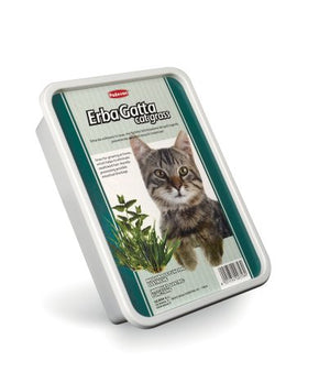 PADOVAN ERBA GATTO DA COLTIVARE