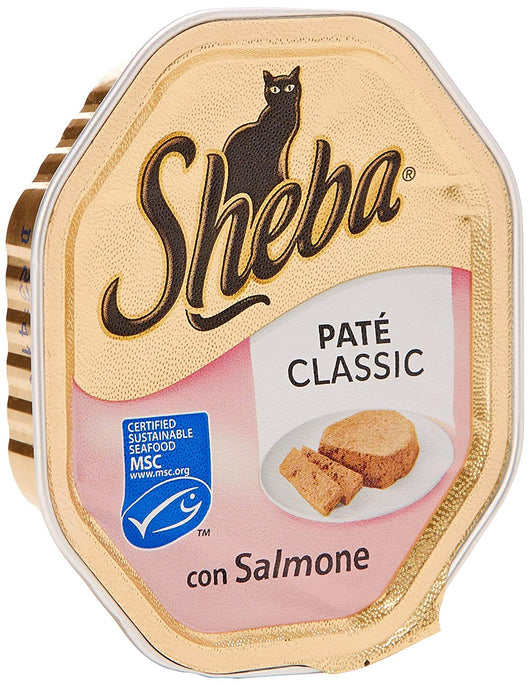 SHEBA CLASSICS GATTO PATÈ DI SALMONE 85 GR