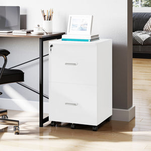 ARMADIETTO DA UFFICIO CON 2 CASSETTI E 5 RUOTE 43 X 45 X 72 CM DI COLORE BIANCO