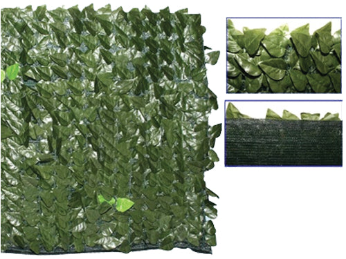 SIEPE EVERGREEN LAURO OSCURANTE 1,5 X 3 MT