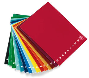 SET 10 QUADERNI PIGNA MONOCROMO IN FORMATO A5 QUADRETTI 4MM