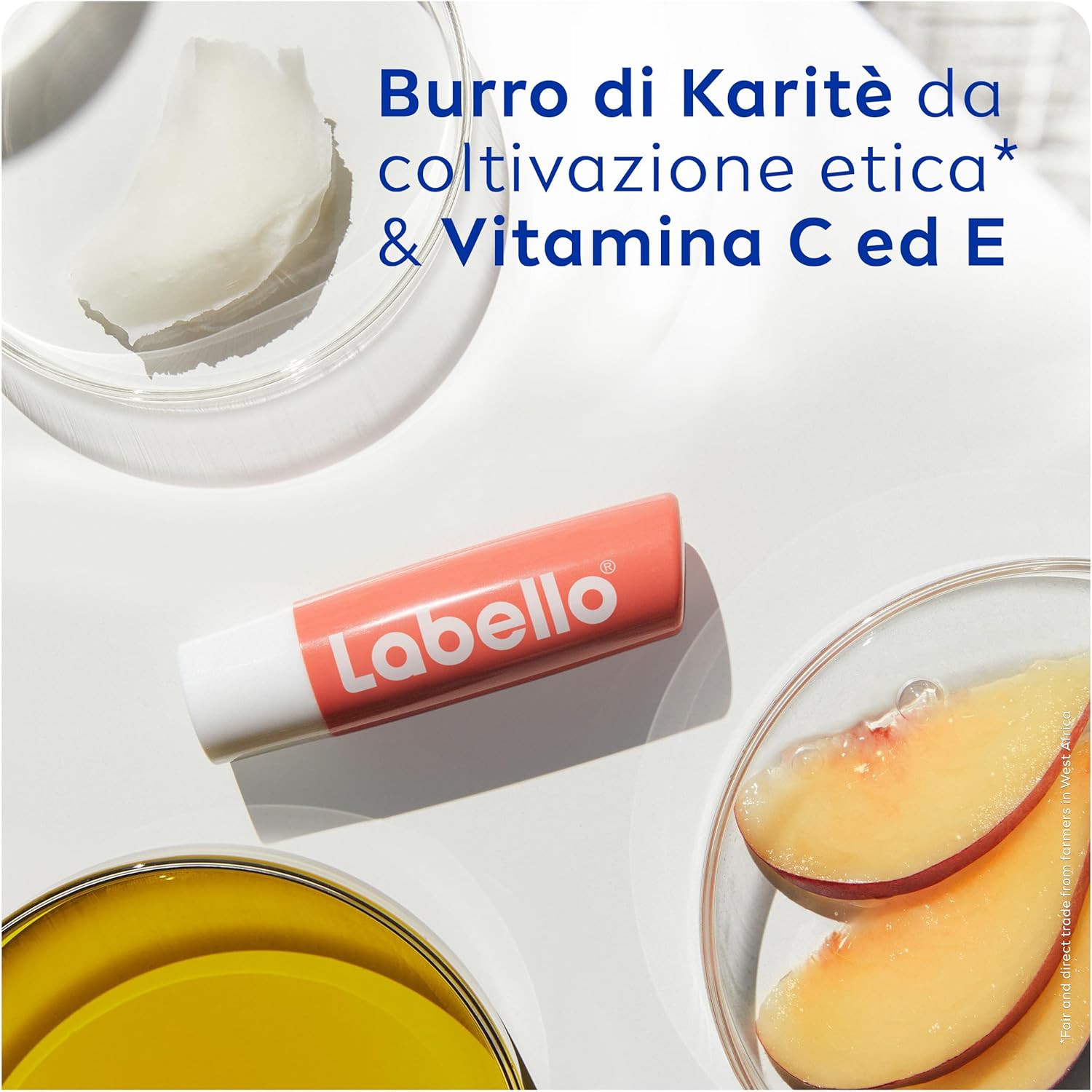 LABELLO BALSAMO LABBRA PESCA SHINE H 24 STICK 4.8 GR CON BURRO DI KARITE'