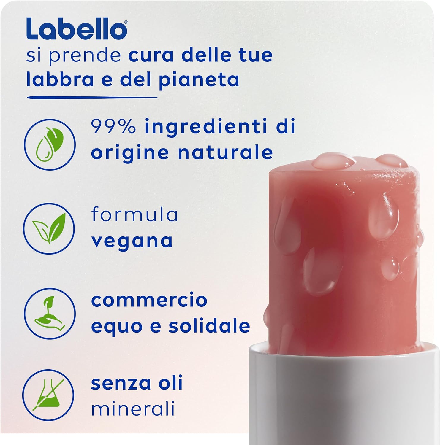 SET 2 LABELLO BALSAMO LABBRA STICK 5,2 GR CON ACIDO IALURONICO