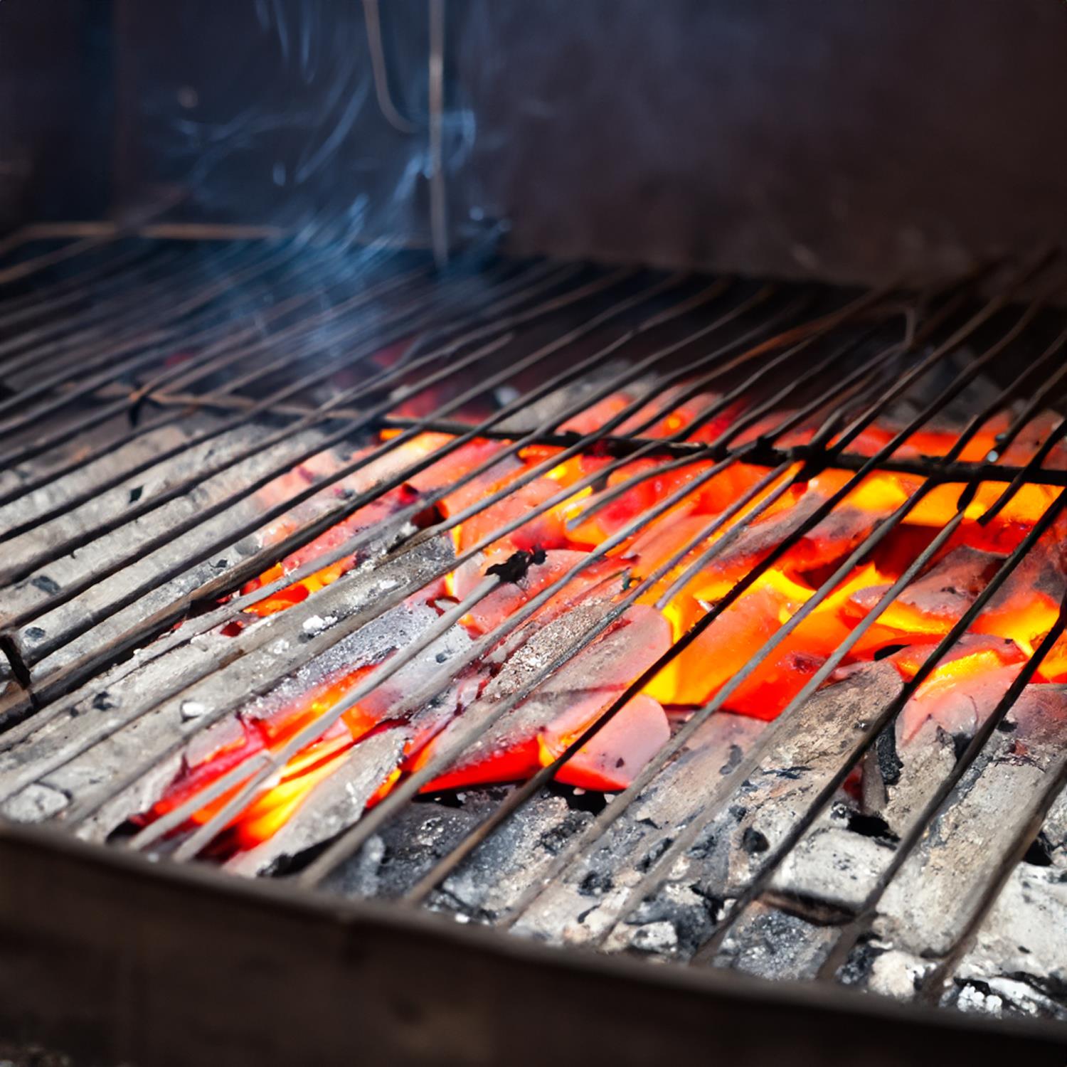 CARBONE EXTRA DI LEGNA 3 CONFEZIONI TOTALE  9 KG