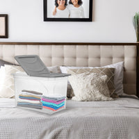 BOX PORTA INDUMENTI CON RUOTE DIMENSIONI 60X41X40CM E COPERCHIO GRIGIO