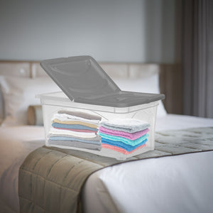 BOX PORTA INDUMENTI CON RUOTE DIMENSIONI 60X40X28CM E COPERCHIO GRIGIO