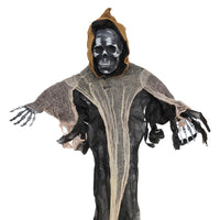 APPENDINO DEMONE DISSENNATORE 118 X 160 CM