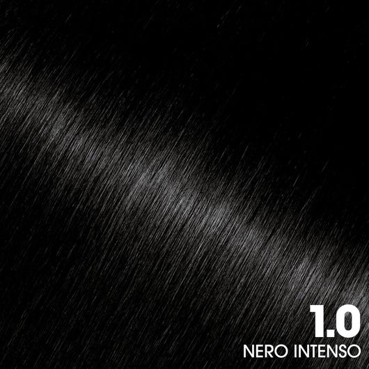 GARNIER OLIA TINTA PERMANENTE SENZA AMMONIACA 1.0 NERO INTENSO