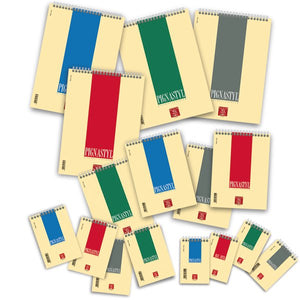 10 BLOCCHI SPIRALATI PIGNASTYL FORMATO A6 DA 60 FOGLI