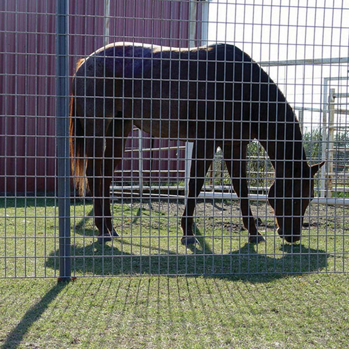 Recinzione Rete Metallica Elettrosaldata H 1 x 25MT Maglia 75x50mm Antiruggine