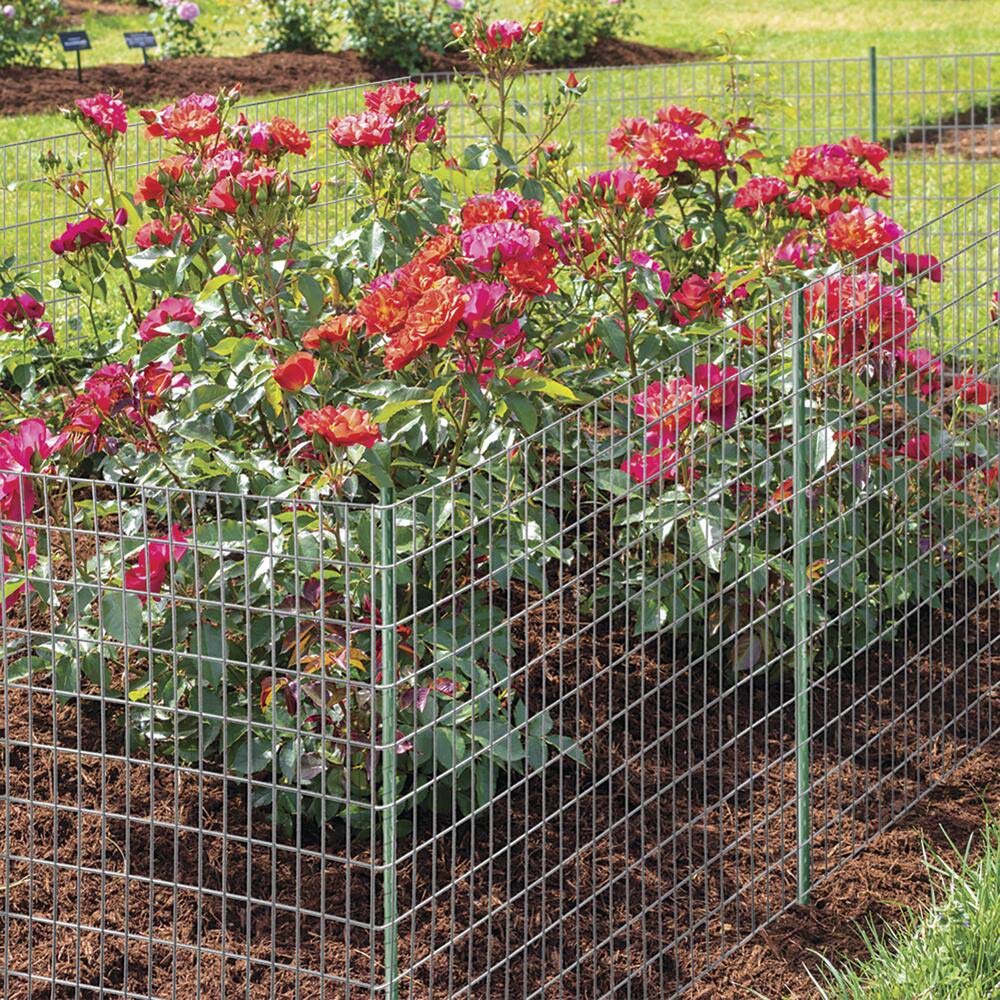 Recinzione Rete Metallica Elettrosaldata H 1.5 x 25MT Maglia 75x50mm Antiruggine