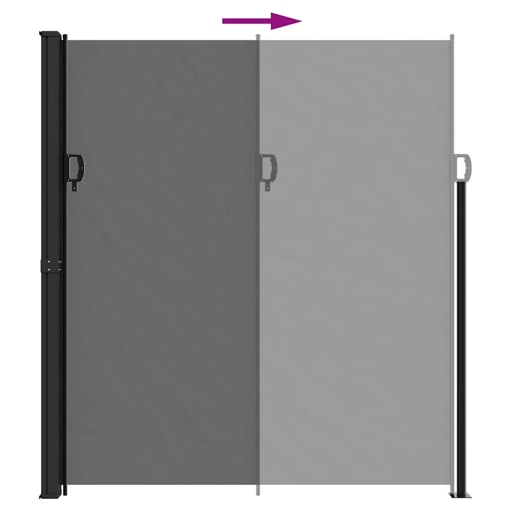 Tenda da sole laterale retrattile antracite 220x300 cm 4004383