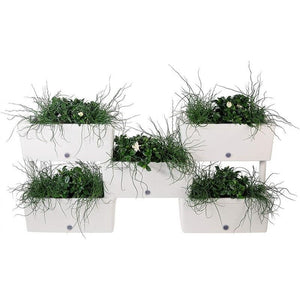 FIORIERA BRIK KIT 5 VASI IRRIGAZIONE VASI COMUNICANTI 59X23X27 (X5PZ) COLORE PANNA