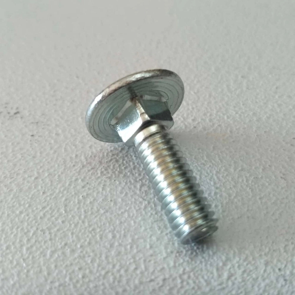 Vite carrettiere 6x25mm - 10pz vite metrica testa tonda con quadro sottotesta bassa resistenza