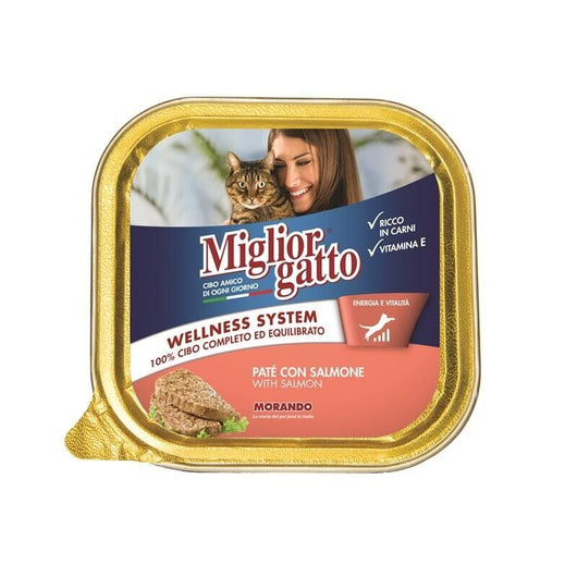 SET 32 CONFEZIONI MIGLIOR GATTO PATE' CON SALMONE 100 GR