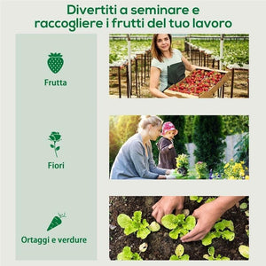 SERRA DA GIARDINO IN PE E ACCIAIO CON 4 PICCHETTI, 2 FINESTRE E COPERTURA RINFORZATA, 200X77X148-169CM