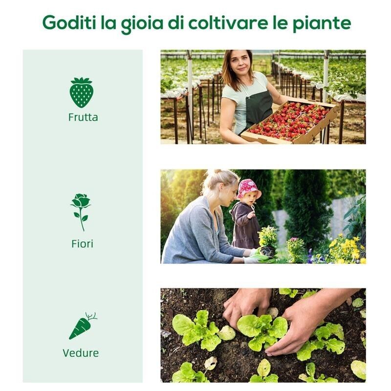 SERRA PICCOLA PER GIARDINO E BALCONE CON FINESTRE E COPERTURA IN PE, 180X90X70CM, VERDE