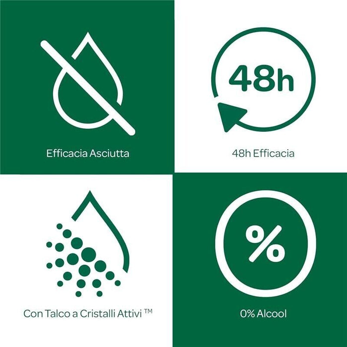 BOROTALCO ROLL-ON SET 6 PZ 50 MLL'UNO FORMULA SENZA ALCOOL EFFICACIA FRESCA 48HAI FIORI DI ROSA