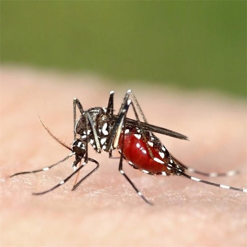 AUTAN TROPICAL SPRAY SECCO ANTIZANZARE IN FORMATO DA 100 ML