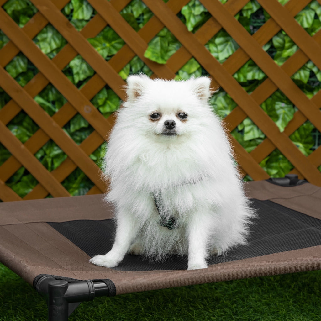 Cuccia per cani rialzata con telaio in acciaio, tessuto Oxford e rete traspirante per esterni marrone 76 × 61 × 18 cm