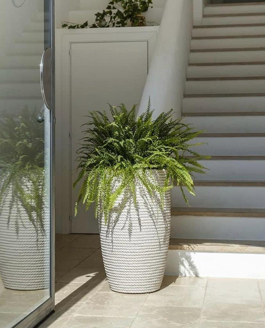 Vaso alto 70cm tronco conico  Bomcord Pv  Bali effetto corda  in resina Telcom Colore: Cool Grey