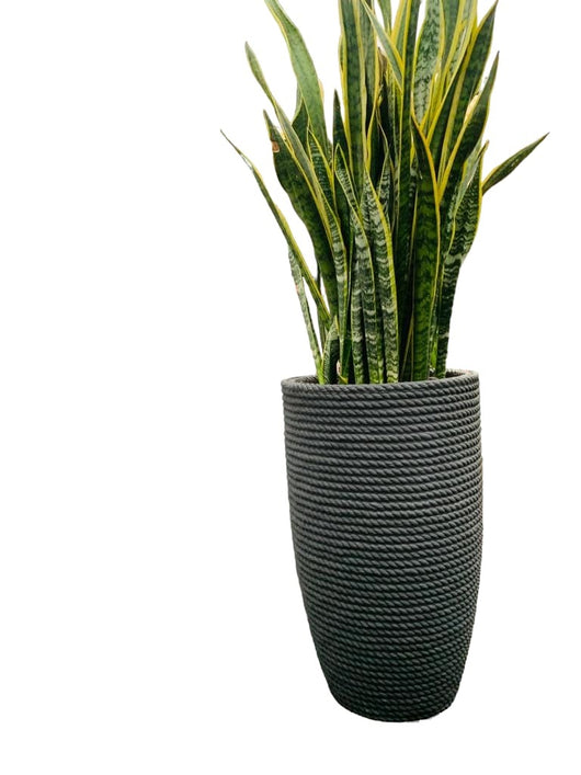 Vaso alto 70cm tronco conico  Bomcord Pv  Bali effetto corda  in resina Telcom Colore: Smoke