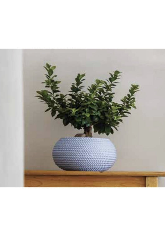 Ciotola Bali Ciocord Vaso Portavaso effetto corda 40x21 in resina vari colori Colore: Polvere