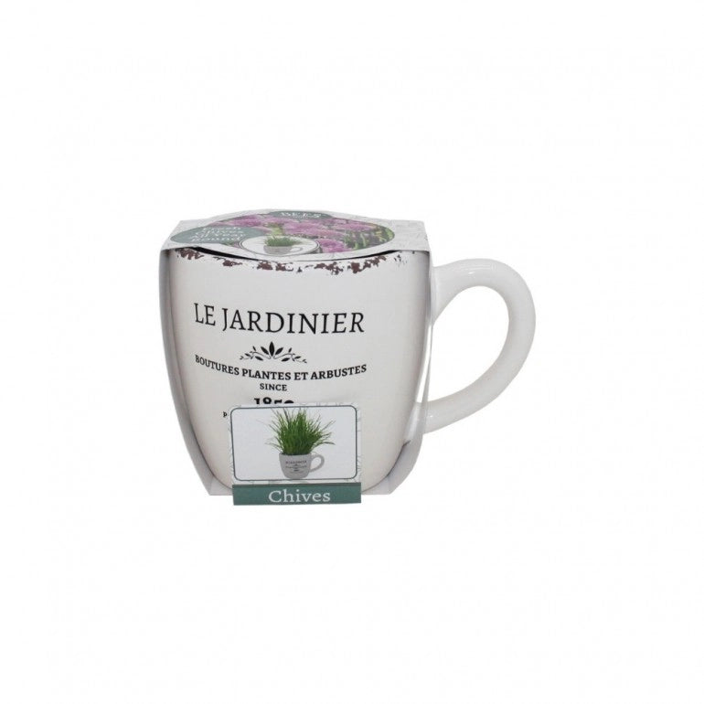 Kit Coltivazione per l'Erba Cipollina, con vaso in ceramica, terriccio e semi