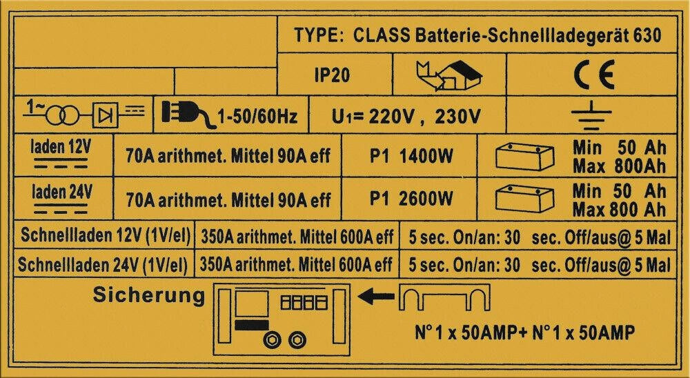 Caricabatterie rapido per camion autobus auto e moto 12V e 24V 16_0001705