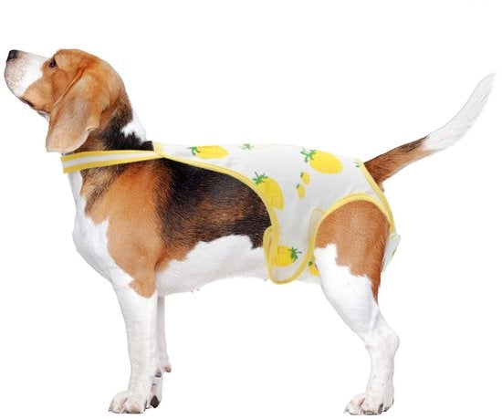 Abbigliamento per cani - Cinturini adattabili - Tessuto soffice e respirante - Lavabile - Grande - Abbigliamento per cani adattabile