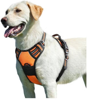 Cappotto per cani, anti-trauma, riflettente, regolabile, facile da applicare, con maniglia, respirante, duraturo, per cani di taglia media e grande, Modello M