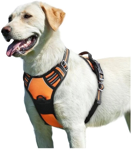 Cappotto per cani, anti-trauma, riflettente, regolabile, facile da applicare, con maniglia, respirante, duraturo, per cani di taglia media e grande, Modello M