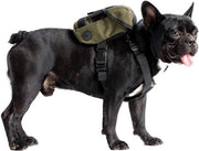 Zak per cane piccola con contenitore per escrementi - ideale per passeggiate quotidiane