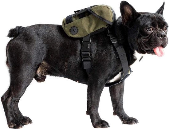 Zak per cane piccola con contenitore per escrementi - ideale per passeggiate quotidiane