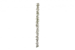 Boa Natale Oregon, Altezza 270cm (6 Pezzi)