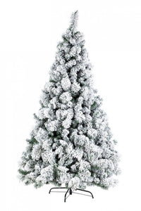 Albero di Natale Cermis Innevato Altezza 180cm con 574 Rami