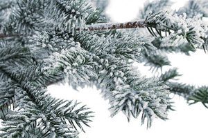 Pino Elbrus Innevato Altezza 150cm